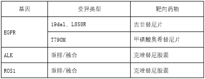 基于NGS技术的非小细胞肺癌基因变异检测试剂的审评现状及审评关注点